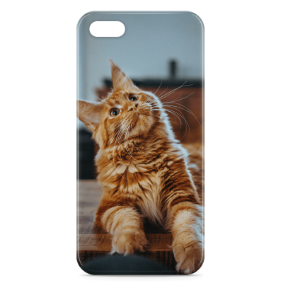 iPhone 5 Photo Case | Design Now | Free Delivery